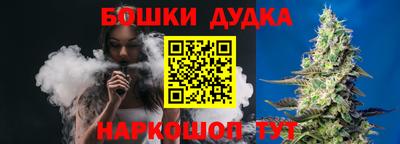 крисы Лесосибирск