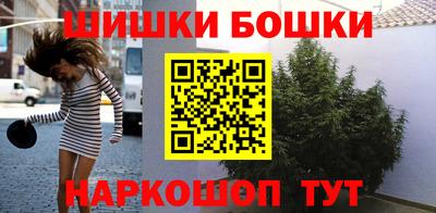 крисы Лесосибирск