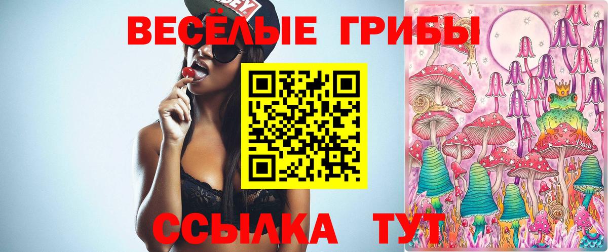 Долгопрудный  Псилоцибиновые грибы GOLDEN TEACHER  Вход с VPN  Псилоцибиновые грибы GOLDEN TEACHER 